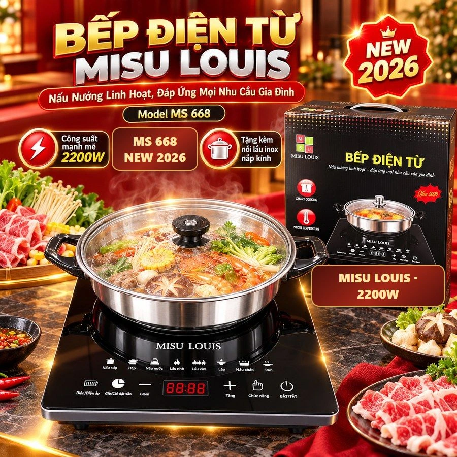 Bếp MISU LOUIS MS 668
